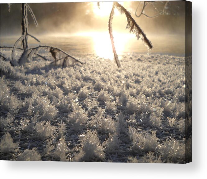 Fractals Acrylic Print featuring the photograph Fanciful Frosty Fractal Forest by Kent Lorentzen