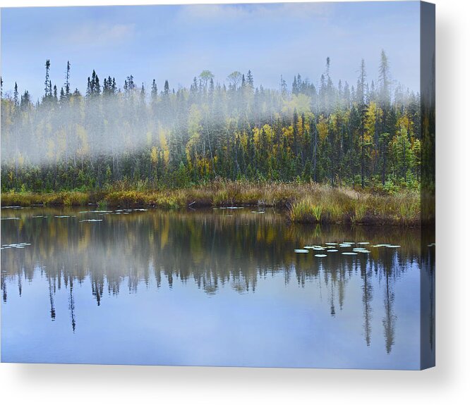 00176925 Acrylic Print featuring the photograph Fog Over Lake Ontario Canada by Tim Fitzharris