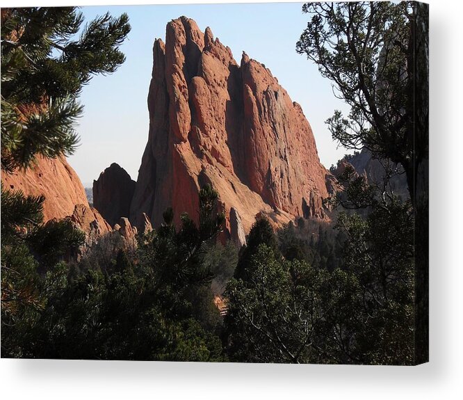 Colorado Acrylic Print featuring the photograph Frame of Pines by Clarice Lakota