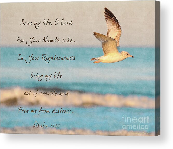 Bird Painting Acrylic Print featuring the painting Freedom Flight by Constance Woods