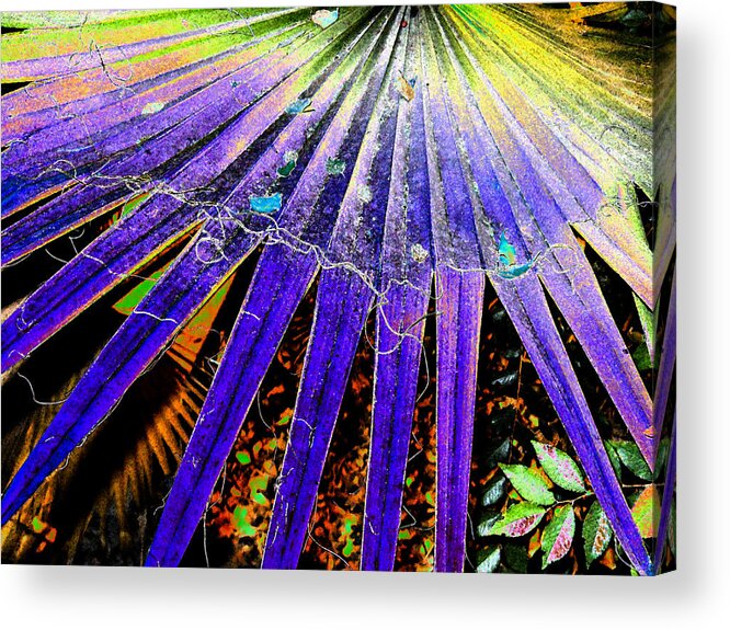 Palm Acrylic Print featuring the digital art Garden Palm At Night by Eric Forster