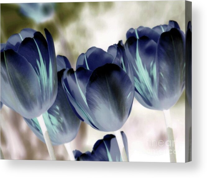 Garden Acrylic Print featuring the photograph Going Blue by Margaret Hamilton