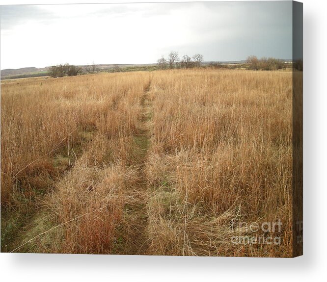 Farm Acrylic Print featuring the photograph Going Home by Anjanette Douglas