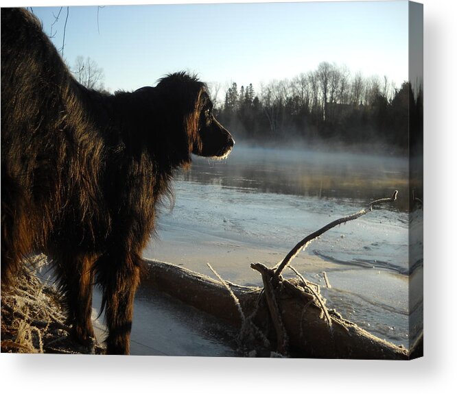 Dog Acrylic Print featuring the photograph Good Morning Mississippi River by Kent Lorentzen