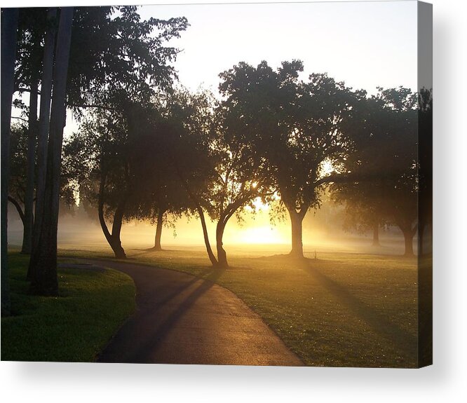 Sunrise Acrylic Print featuring the photograph Good Morning World by Sheila Silverstein