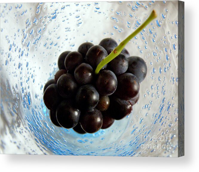 Biot Acrylic Print featuring the photograph Grape Cluster in Biot Glass by Lainie Wrightson