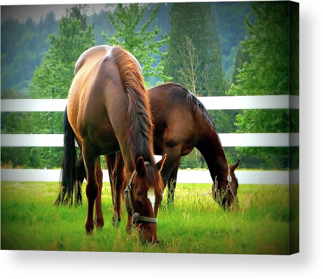 Horse Acrylic Print featuring the photograph Grazing by Lori Seaman