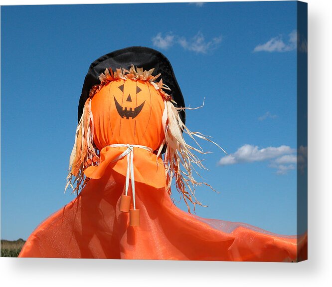 Pumpkin Acrylic Print featuring the photograph Happy Halloween by Cathy Kovarik