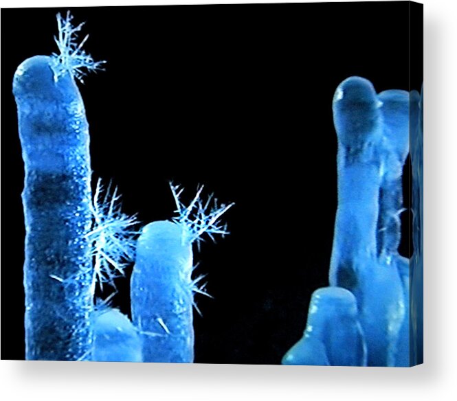 Colette Acrylic Print featuring the photograph Iceparticles by Colette V Hera Guggenheim