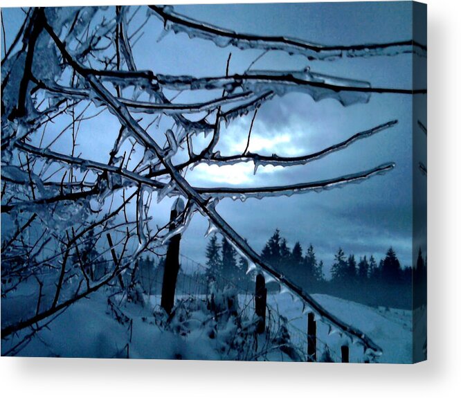 Landscape Acrylic Print featuring the photograph Illumination by Rory Siegel