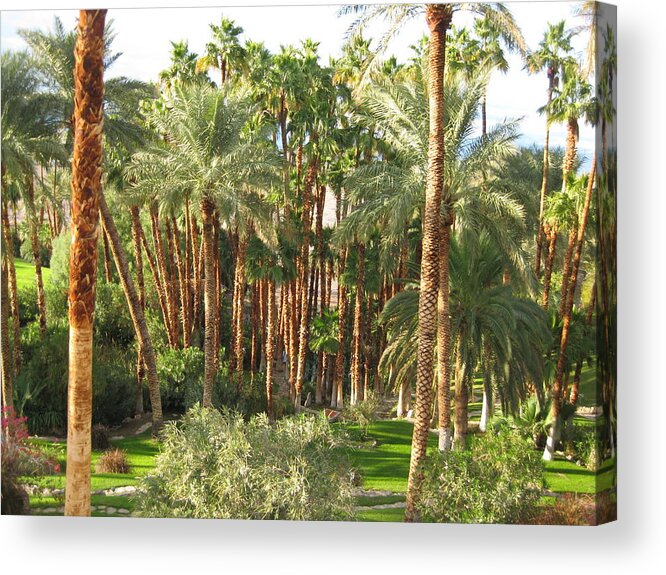 Arizona Photographs Acrylic Print featuring the photograph In The Kingdom Of Trees by Robert Margetts