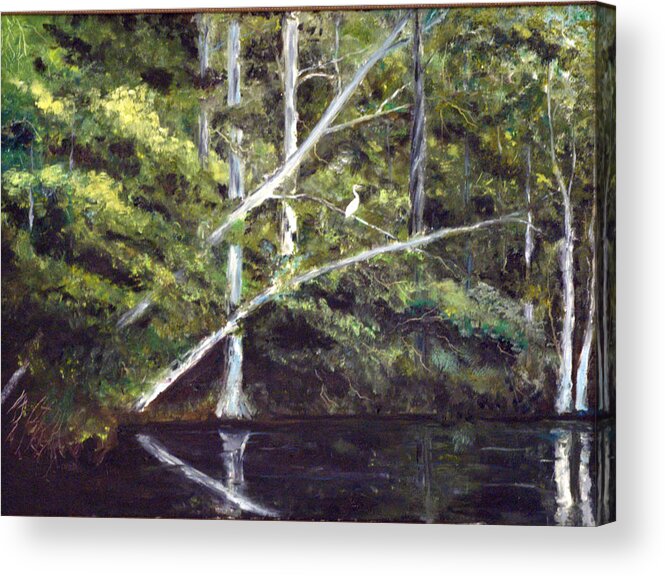 Jackson Bluff Acrylic Print featuring the painting Jackson Bluff on the Waccamaw River by Phil Burton