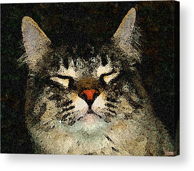 Cat Acrylic Print featuring the photograph Jeff fray by Paula Greenlee