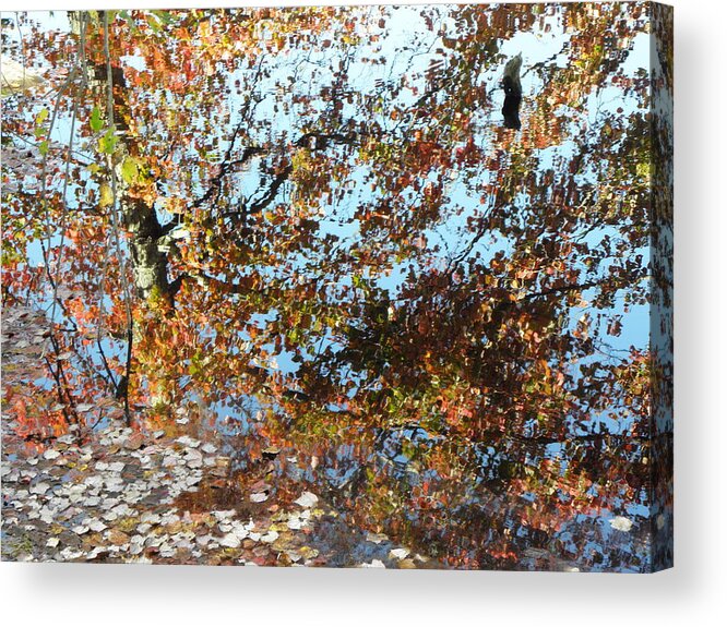 Reflection Acrylic Print featuring the photograph Just A Reflection by Kim Galluzzo