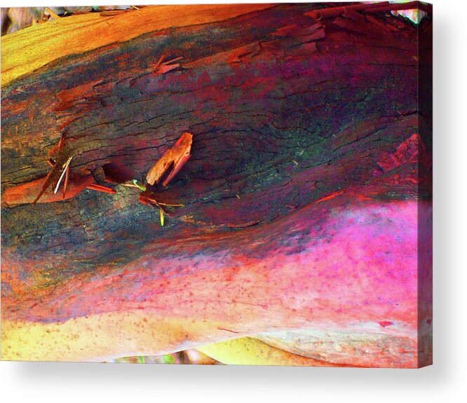 Nature Acrylic Print featuring the digital art Landing by Richard Laeton