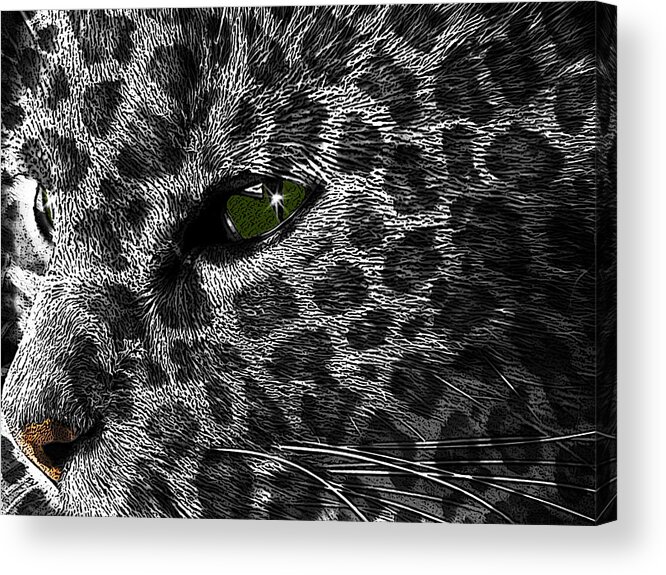 Black Acrylic Print featuring the photograph Leopard Within by Teri Schuster