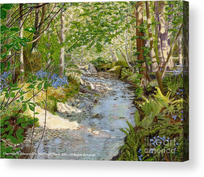 Bluebell Woodland Stream Welsh Landscapes Acrylic Print featuring the painting Bluebell Woodland Stream Welsh Landscapes by Edward McNaught-Davis