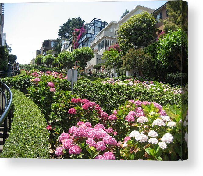 Lombard Street Acrylic Print featuring the photograph Lombard Street by Dany Lison