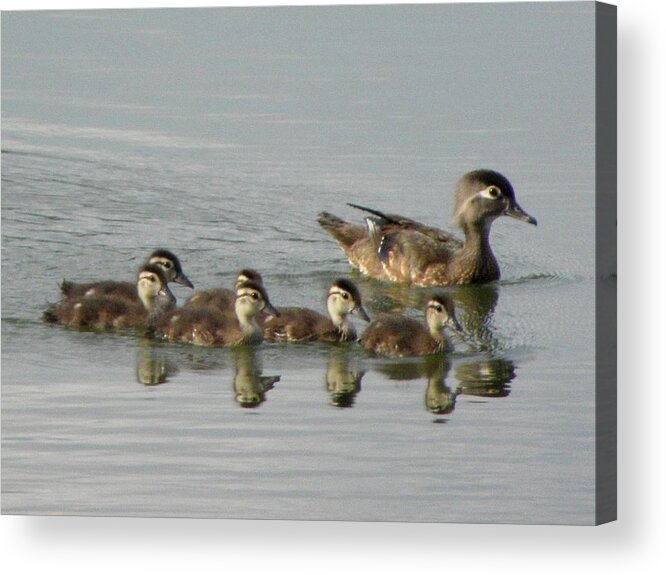Mother Acrylic Print featuring the photograph Lots Of Love by Kim Galluzzo