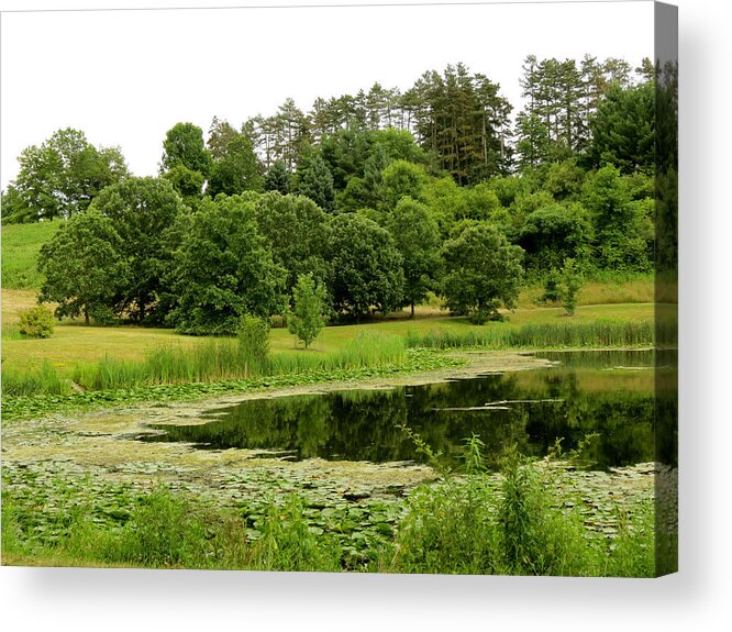 Pond Acrylic Print featuring the photograph Lush Green by Azthet Photography