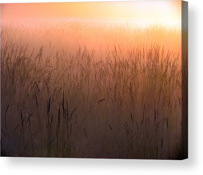 Sun Acrylic Print featuring the photograph Misty Sunrise by I'ina Van Lawick