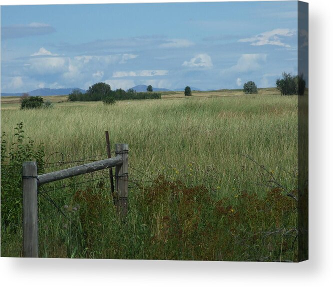 Ninepipes Acrylic Print featuring the photograph Montana field by Marie-Claire Dole