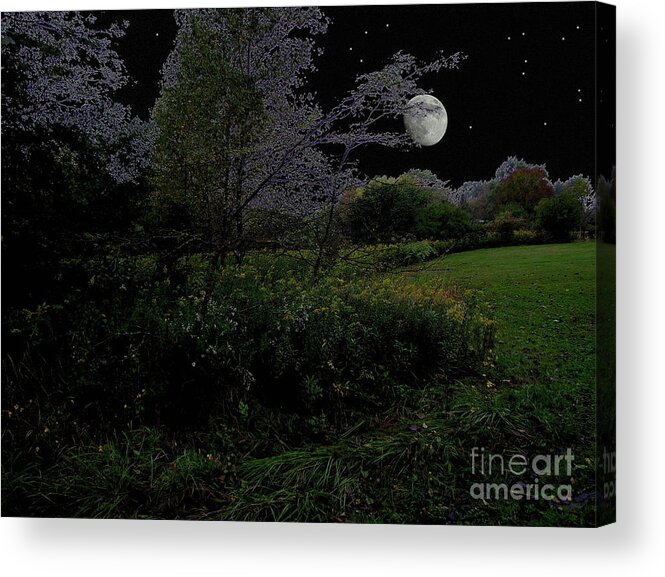 Nature Acrylic Print featuring the photograph Moonrise In Flossmoor Forest by Cedric Hampton
