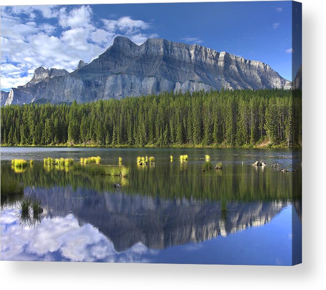 00176103 Acrylic Print featuring the photograph Mount Rundle and Boreal Forest by Tim Fitzharris