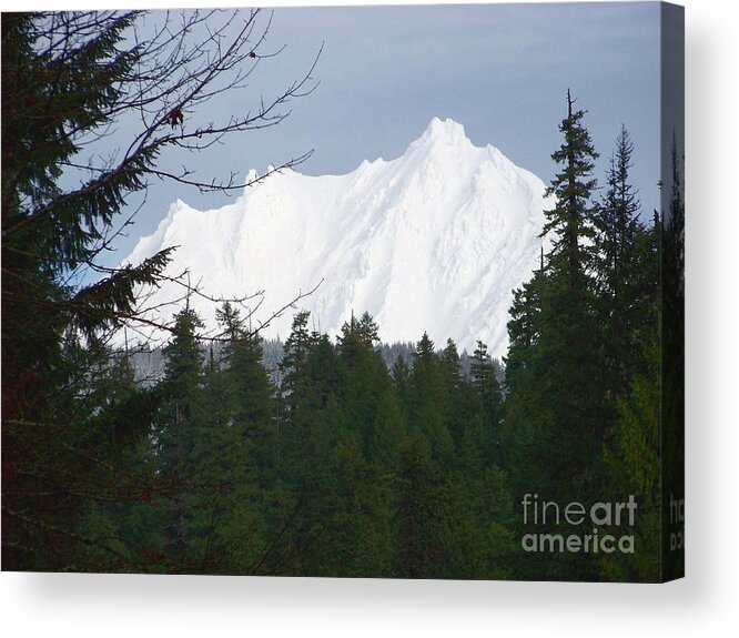 Mt Jefferson Acrylic Print featuring the photograph Mt Jefferson by Charles Robinson