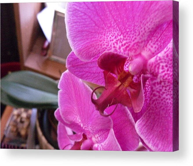  Acrylic Print featuring the photograph My room up close 1 by Myron Belfast