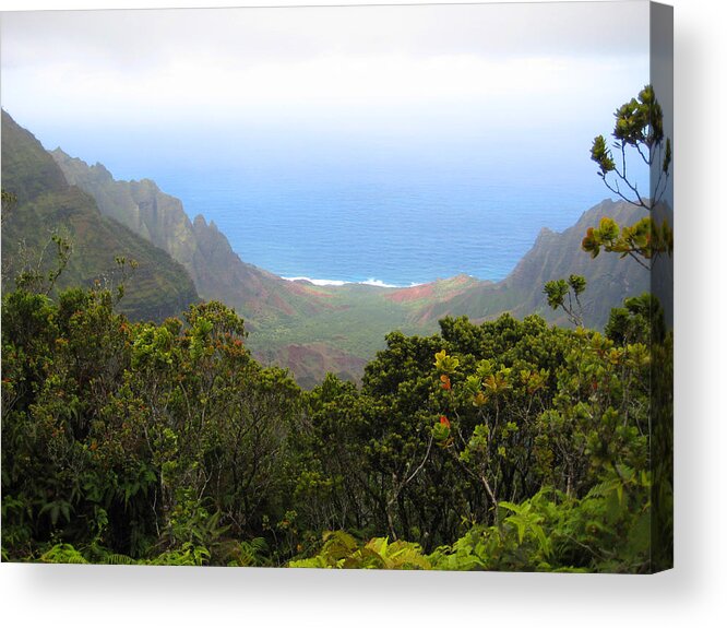 Na Pali Coast From Kalalau Trail Kauai Hawaii Valley Beach Photographs Acrylic Print featuring the photograph Na Pali in Fog by C Sitton