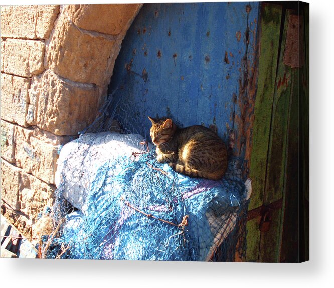 Travel Acrylic Print featuring the photograph Nap After The Meal by Miki De Goodaboom