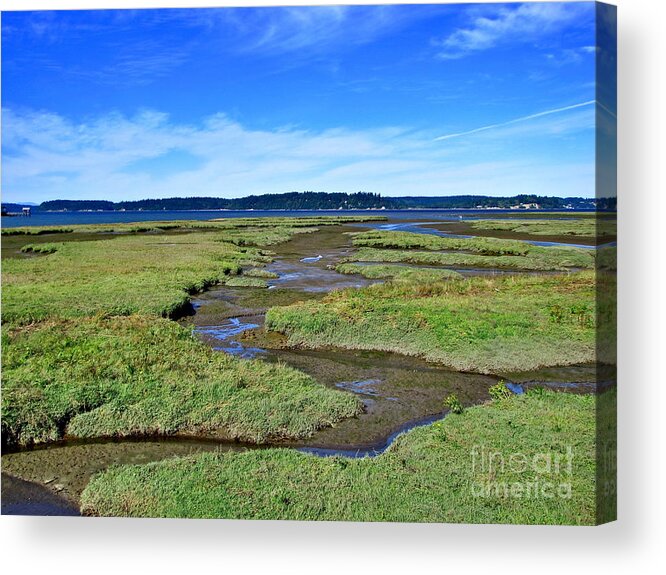 Nature Acrylic Print featuring the photograph Nisqually Estuary at Low Tide by Sean Griffin