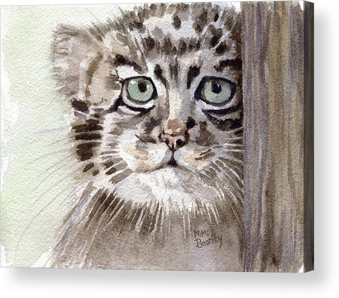 Wildcat Acrylic Print featuring the painting Pallas Cat by Mimi Boothby
