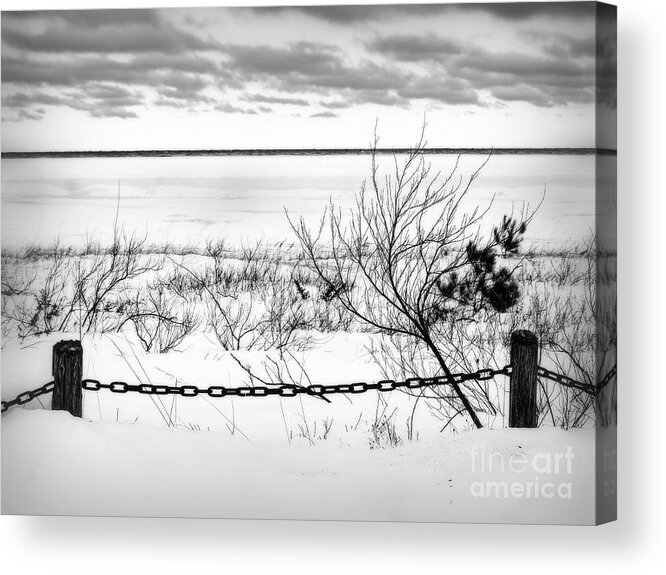 Winter Acrylic Print featuring the photograph Park In Winter by Terry Doyle