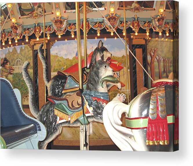 Carousel Acrylic Print featuring the photograph Philadelphia Style Cats by Barbara McDevitt