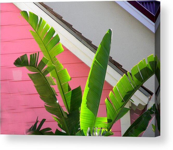 Digital Photography Acrylic Print featuring the photograph Pink House by Jean Wolfrum