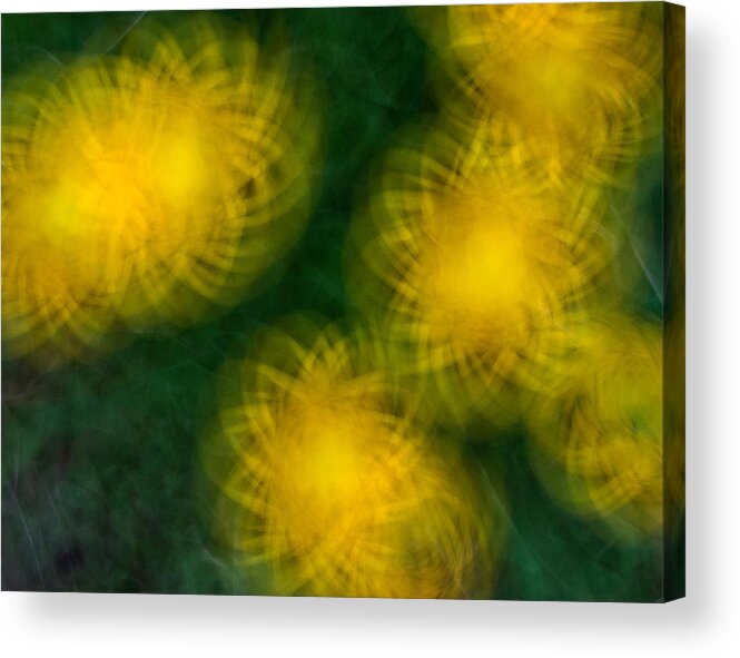 Abstract Acrylic Print featuring the photograph Pirouetting Dandelions by Neil Shapiro