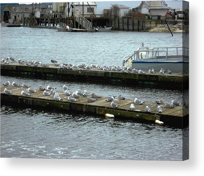 Oysterville Acrylic Print featuring the photograph Port of Oysterville by Kelly Manning