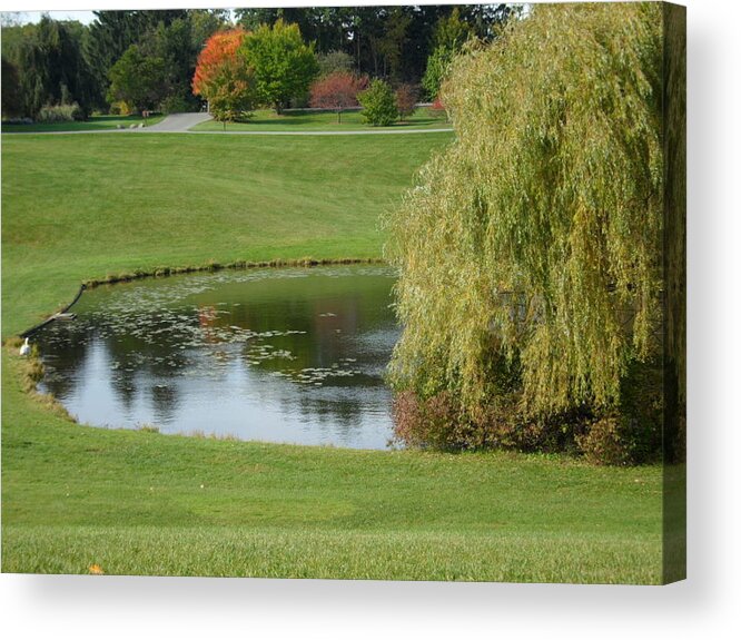 Landscape Acrylic Print featuring the photograph Reflecting Pond by Val Oconnor