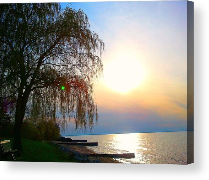 Nature Acrylic Print featuring the photograph Reminisce by Zane Chowdhery