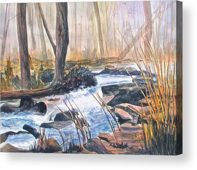 Colorado Acrylic Print featuring the painting River Rush by Frank SantAgata