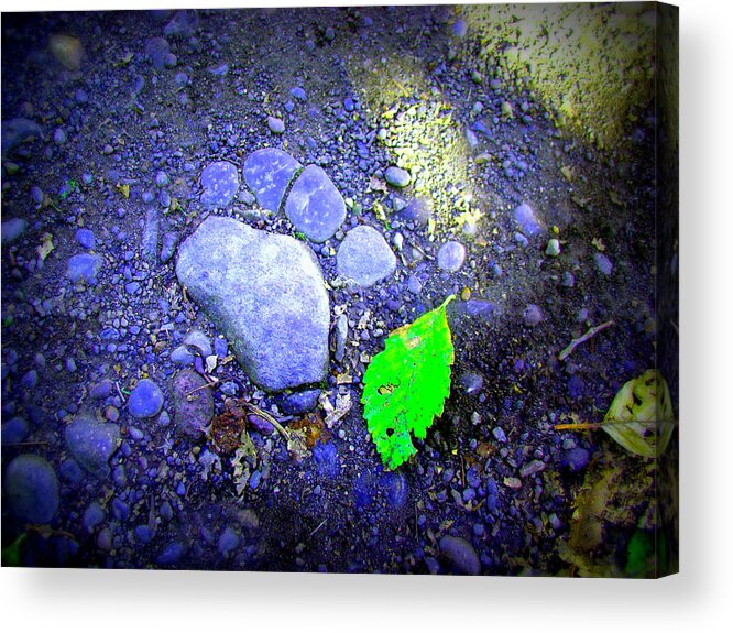 Rocks Acrylic Print featuring the photograph Rock Paw by Lisa Rose Musselwhite