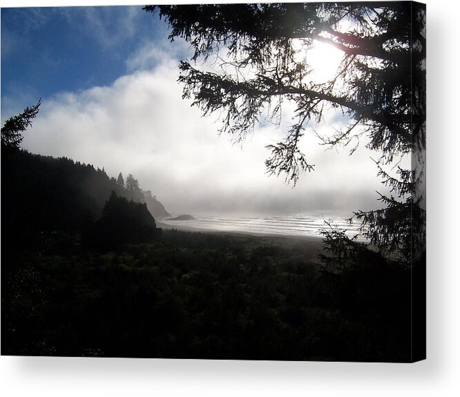 Beach Acrylic Print featuring the photograph Rolling Fog by Peter Mooyman