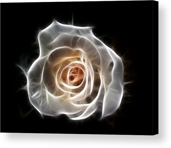 Rose Acrylic Print featuring the digital art Rose of Light by Bel Menpes