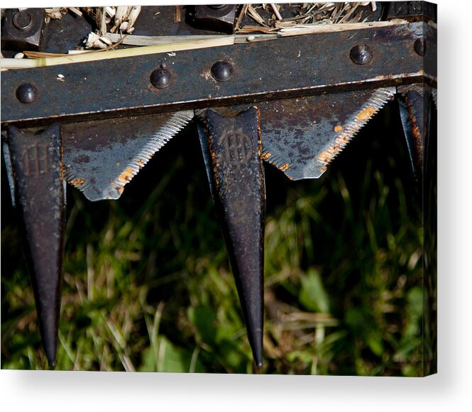 Reaper Blades Acrylic Print featuring the photograph Rusty Sharp Blades by Wilma Birdwell