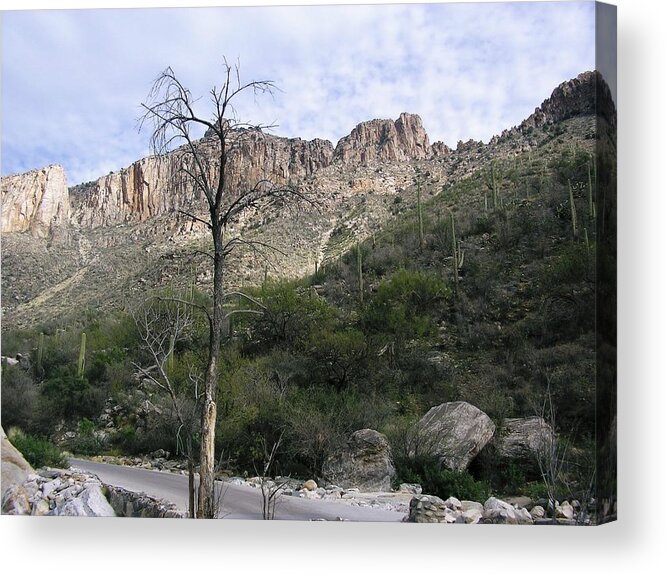 Southwest Mountains Canyons Acrylic Print featuring the photograph Sabino Canyon AZ by Jayne Kerr 