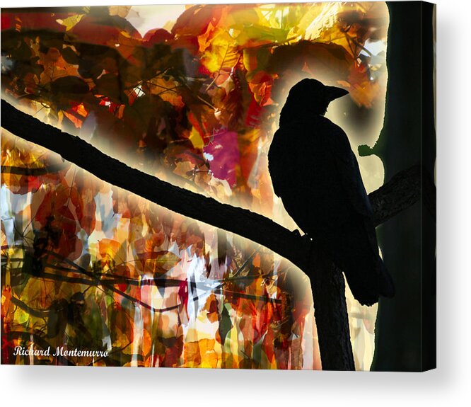 Trees Acrylic Print featuring the photograph Sentry by Richard Montemurro