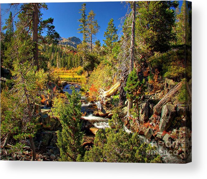 Sierra Nevada Fall Beauty Acrylic Print featuring the photograph Sierra Nevada Fall Beauty at Lily Lake by Scott McGuire