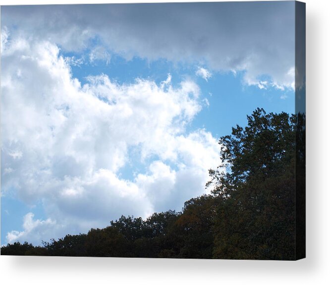 Blue Acrylic Print featuring the photograph Sky by Ellen Lewis